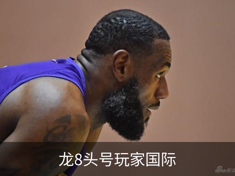 龙8头号玩家国际概况