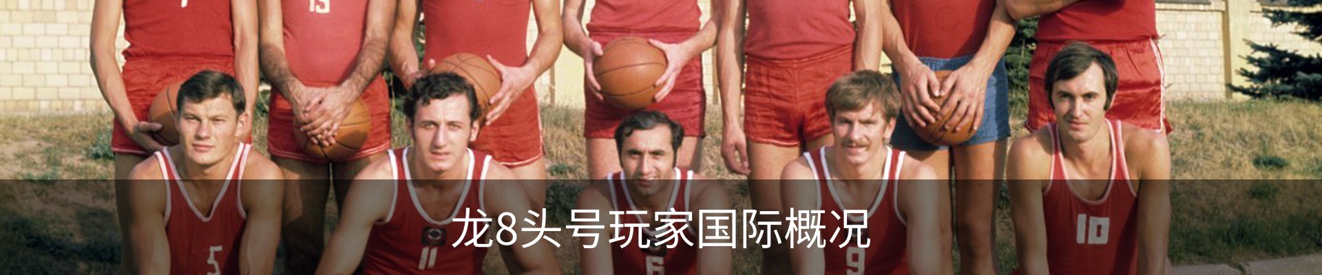 龙8头号玩家国际概况